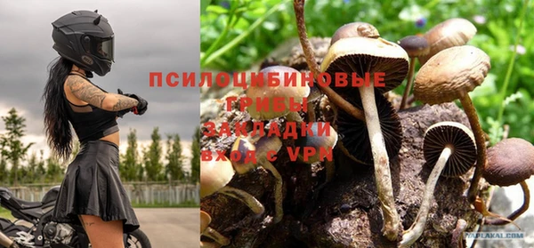 индика Алзамай