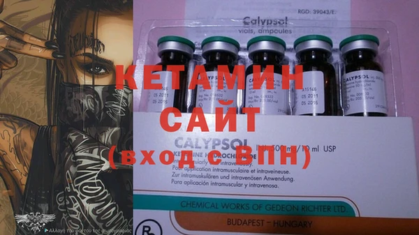 индика Алзамай