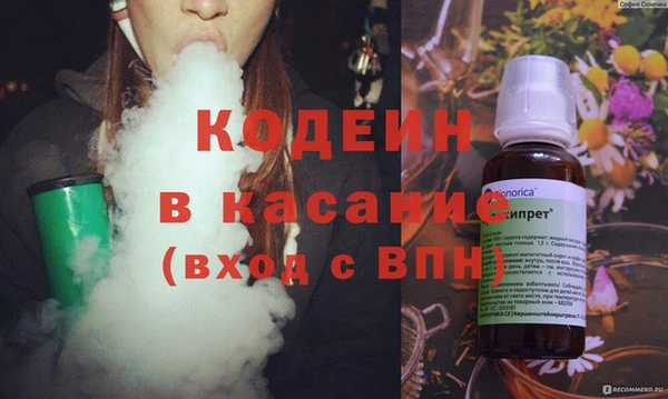 индика Алзамай