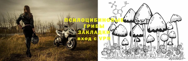 прущие крисы Абинск