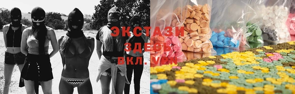 индика Алзамай