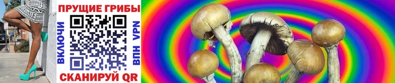 Галлюциногенные грибы Magic Shrooms  Новоалтайск 
